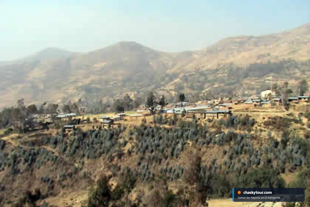 Kishuara - Foto 2