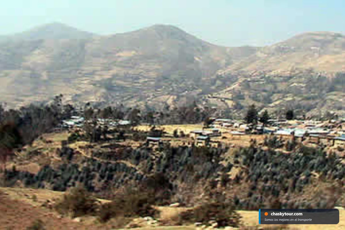 Kishuara - Foto 4